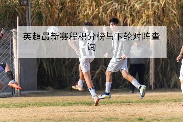 KPL常规赛首发名单与选手英雄池数据查询